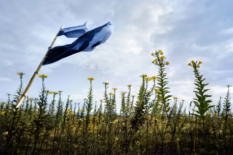 부산갤러리 전시· 북토크
